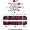 imageBeadsland Rhinestones for Makeup8 Sizes 2500pcs Red Flatback Rhinestones Eye Gems for Nails Crafts with Tweezers and Wax PencilSiamSS4SS30Dark Siam