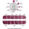 imageBeadsland Rhinestones for Makeup8 Sizes 2500pcs Red Flatback Rhinestones Eye Gems for Nails Crafts with Tweezers and Wax PencilSiamSS4SS30Fuchsia