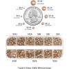 imageBeadsland Rhinestones for Makeup8 Sizes 2500pcs Red Flatback Rhinestones Eye Gems for Nails Crafts with Tweezers and Wax PencilSiamSS4SS30Golden Shadow