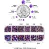 imageBeadsland Rhinestones for Makeup8 Sizes 2500pcs Red Flatback Rhinestones Eye Gems for Nails Crafts with Tweezers and Wax PencilSiamSS4SS30Purple Velvet