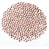 image6000PCS Hotfix Rhinestones Bulk Clear Rhinestones for Crafts ClothesHotfix Crystals DIY Decoration SS10 2729mmChampagne