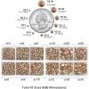 imageBeadsland 8300PCS Flatback Rhinestones AB Crystal Rhinestone Round Crystal Rhinestones for Crafts Mixed 10 Sizes with Wax Pencil and Tweezer Kit SS3SS30 Crystal ABGolden Shadow