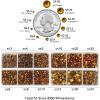 imageBeadsland 8300PCS Flatback Rhinestones AB Crystal Rhinestone Round Crystal Rhinestones for Crafts Mixed 10 Sizes with Wax Pencil and Tweezer Kit SS3SS30 Crystal ABTopaz