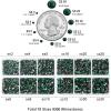 imageBeadsland 8300PCS Flatback Rhinestones AB Crystal Rhinestone Round Crystal Rhinestones for Crafts Mixed 10 Sizes with Wax Pencil and Tweezer Kit SS3SS30 Crystal ABEmerald