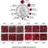 imageBeadsland 8300PCS Flatback Rhinestones AB Crystal Rhinestone Round Crystal Rhinestones for Crafts Mixed 10 Sizes with Wax Pencil and Tweezer Kit SS3SS30 Crystal ABSiam