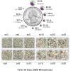 imageBeadsland 8300PCS Flatback Rhinestones AB Crystal Rhinestone Round Crystal Rhinestones for Crafts Mixed 10 Sizes with Wax Pencil and Tweezer Kit SS3SS30 Crystal ABcrystal AB