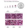 imageHotfix Rhinestones 3960pcs Red Rhinestone for Clothes Hot Fix Crystals Rhinestones with Tweezers and Wax Pencil KitMixed 5 Sizes SS6SS30 SiamDark Pink