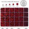 imageHotfix Rhinestones Multi Sizes Kit 14400 pcs Heat Fix Rhinestone for Bedazzling Clothes Crafts Mixed 5 Sizes with Wax Pencil Tweezers and Spoon SS6SS30 Clear AB and CrystalSiam