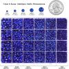 imageHotfix Rhinestones Multi Sizes Kit 14400 pcs Heat Fix Rhinestone for Bedazzling Clothes Crafts Mixed 5 Sizes with Wax Pencil Tweezers and Spoon SS6SS30 Clear AB and CrystalSapphire