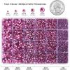 imageHotfix Rhinestones Multi Sizes Kit 14400 pcs Heat Fix Rhinestone for Bedazzling Clothes Crafts Mixed 5 Sizes with Wax Pencil Tweezers and Spoon SS6SS30 Clear AB and CrystalDark Pink